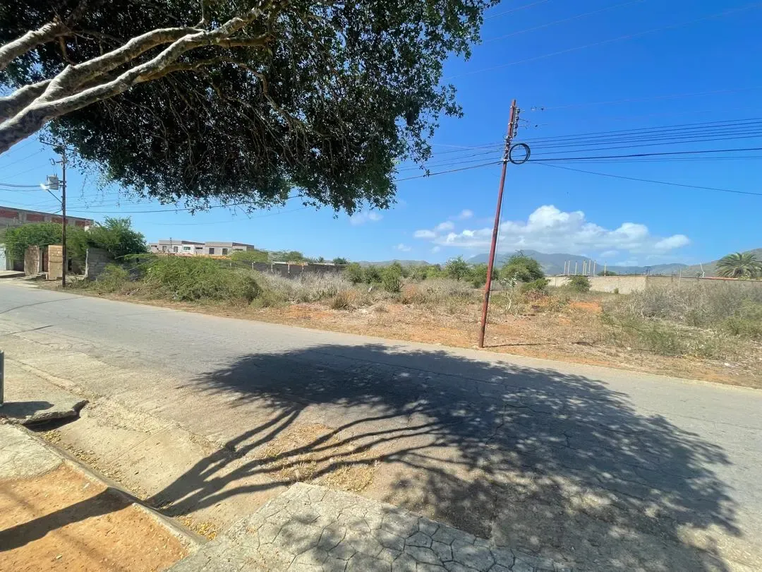 Parcelas A La Venta, Guacuco, Municipio Arismendi. - 5