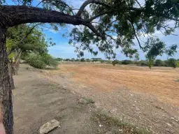 Vista 4