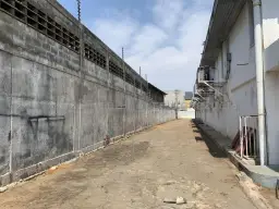 View 11