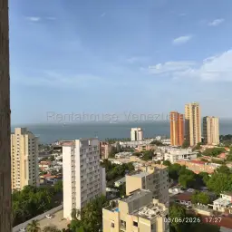 Vista 15