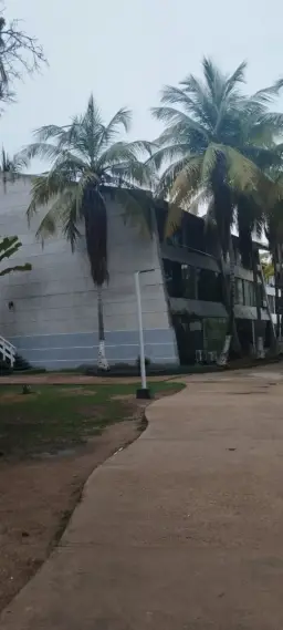 View 14