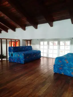 Vista 5