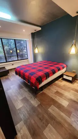 Vista 6