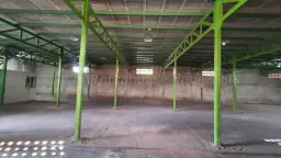 Vista 5