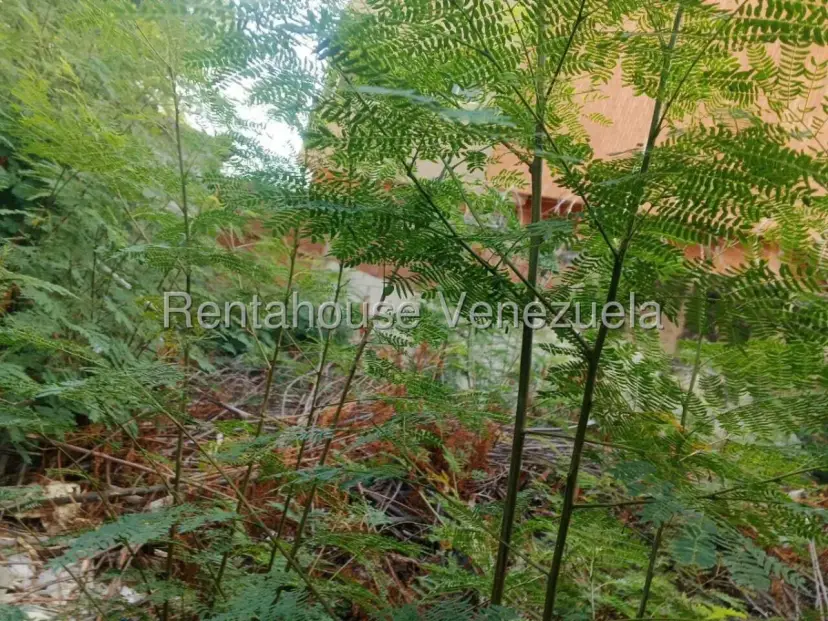 TERRENO EN VENTA EN BANCOMARA