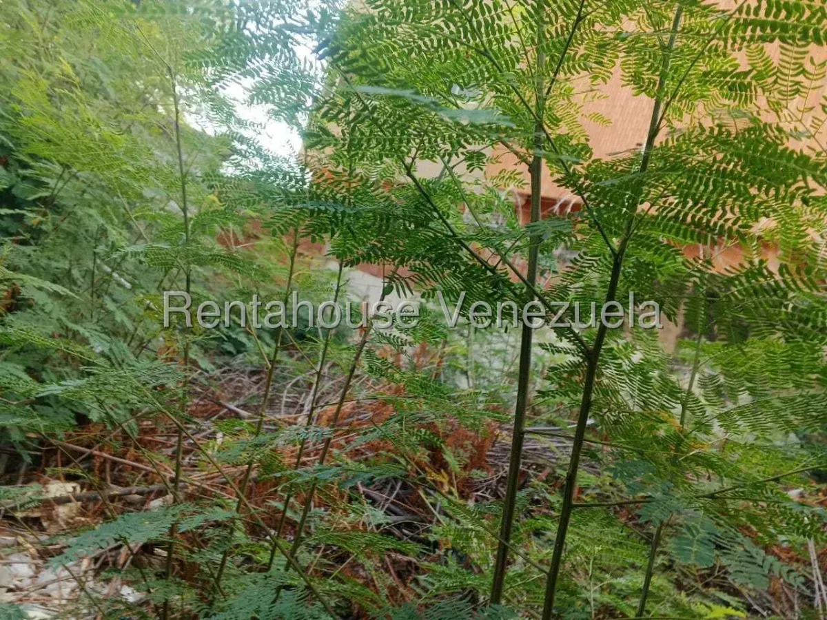 TERRENO EN VENTA EN BANCOMARA