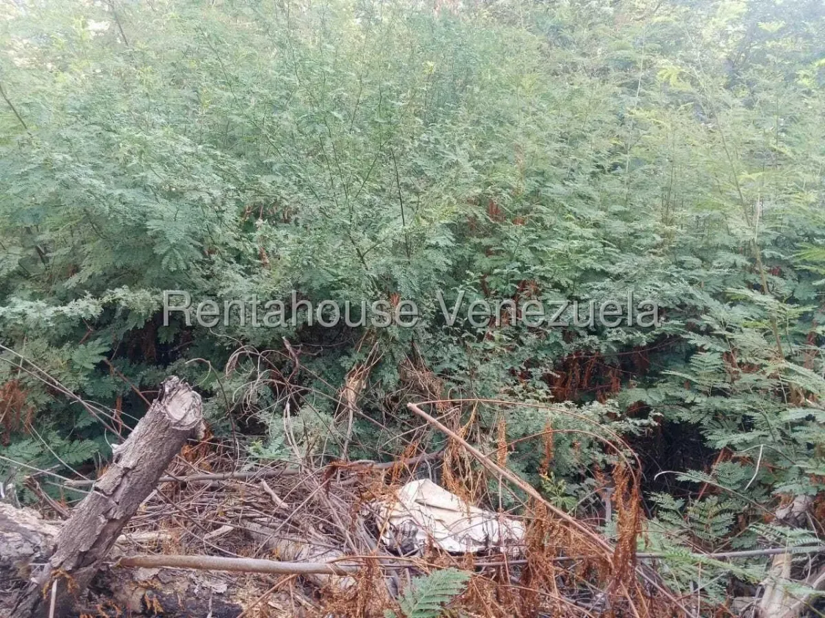 TERRENO EN VENTA EN BANCOMARA - 3