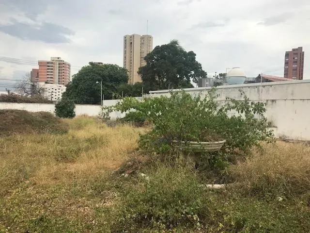 TERRENO EN VENTA EN URBANIZACIÓN CREOLE - 9