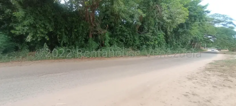 TERRENO EN VENTA EN LOS BUCARES