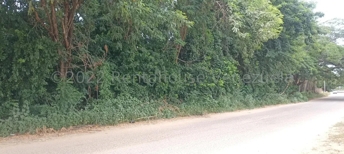 TERRENO EN VENTA EN LOS BUCARES - 2