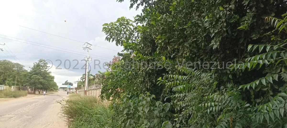 TERRENO EN VENTA EN LOS BUCARES - 5