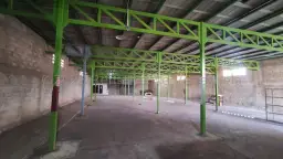 Vista 12