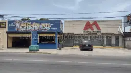 Vista 1