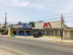 Vista 2