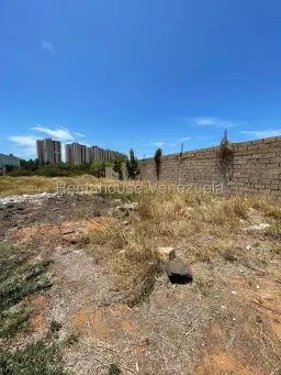Vista 6