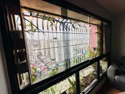 Vista 6