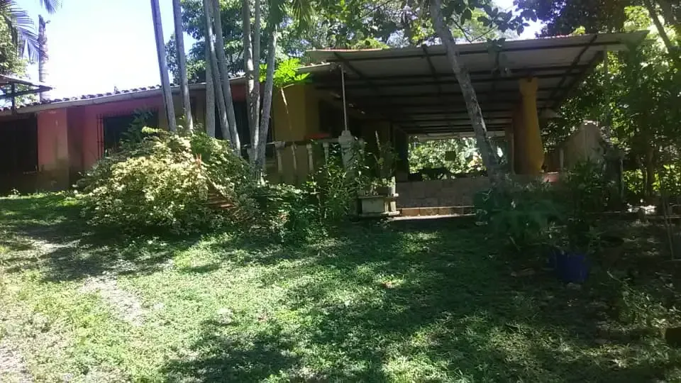Galpon industrial con Terreno 10.000Mts2 propio y con casa a 50 min de caracas Menecure. Caucagua - 6