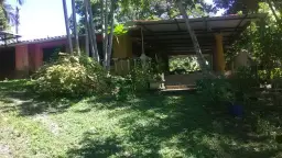 View 6