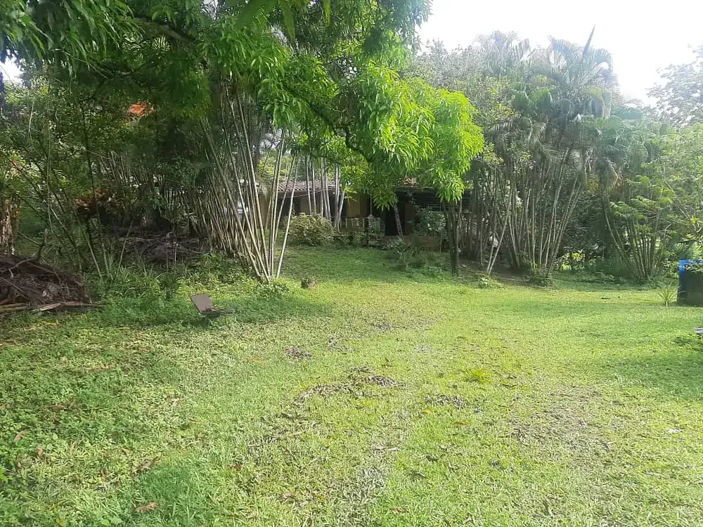 Galpon industrial con Terreno 10.000Mts2 propio y con casa a 50 min de caracas Menecure. Caucagua - 7