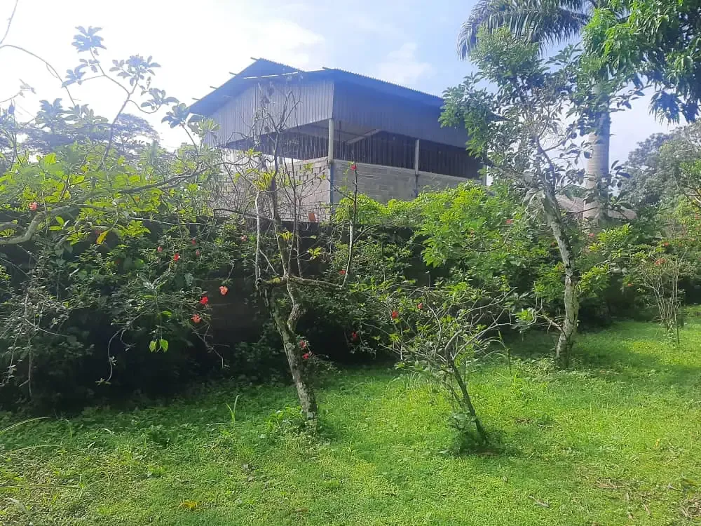 Galpon industrial con Terreno 10.000Mts2 propio y con casa a 50 min de caracas Menecure. Caucagua - 8