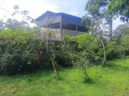 View 8