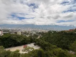 Vista 12