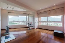 Vista 14