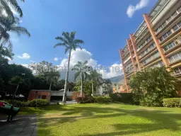 Vista 15