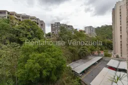 Vista 19