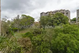 Vista 20