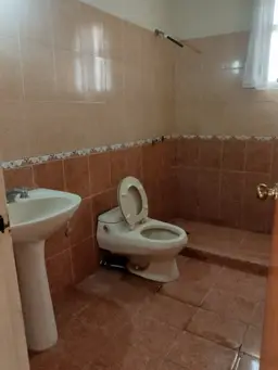 Vista 12