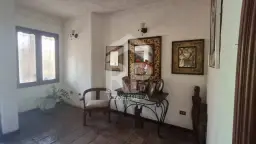 Vista 19