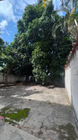 View 11