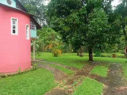 View 5