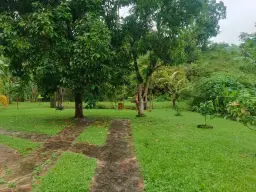 View 6