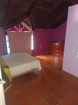 View 14