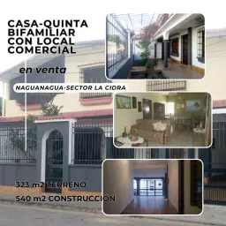Vista 1