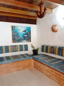 Vista 12