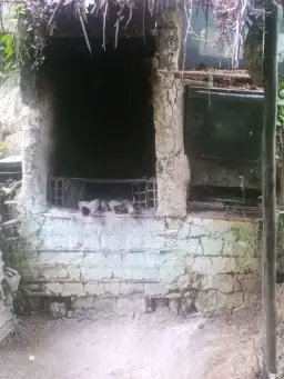 Vista 3