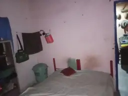 Vista 5
