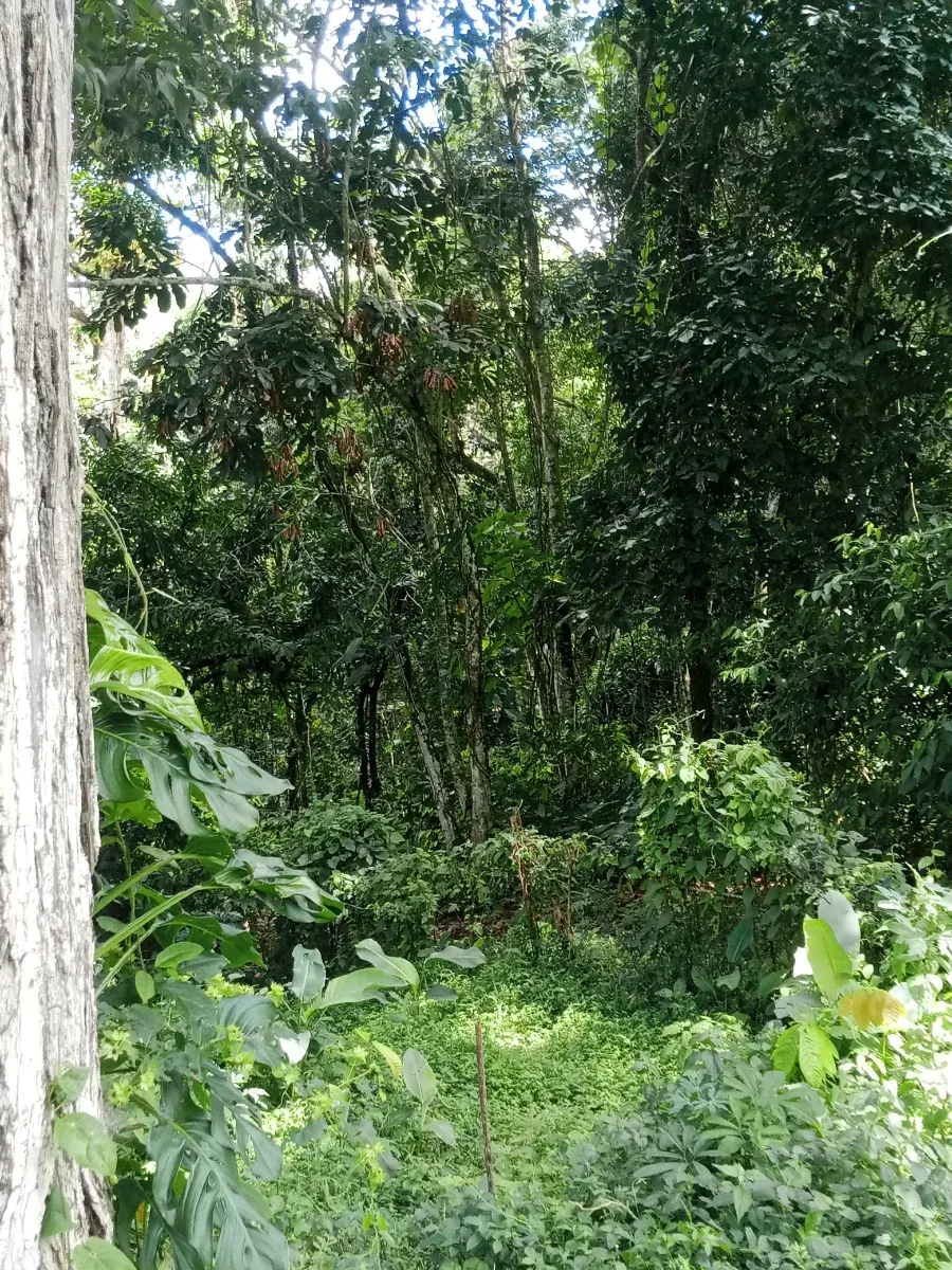 Casa para vacacional y turismo en montaña - 16