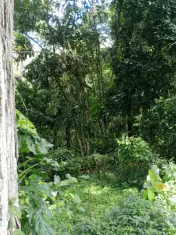 Vista 16