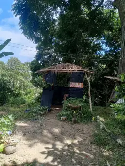 Vista 23