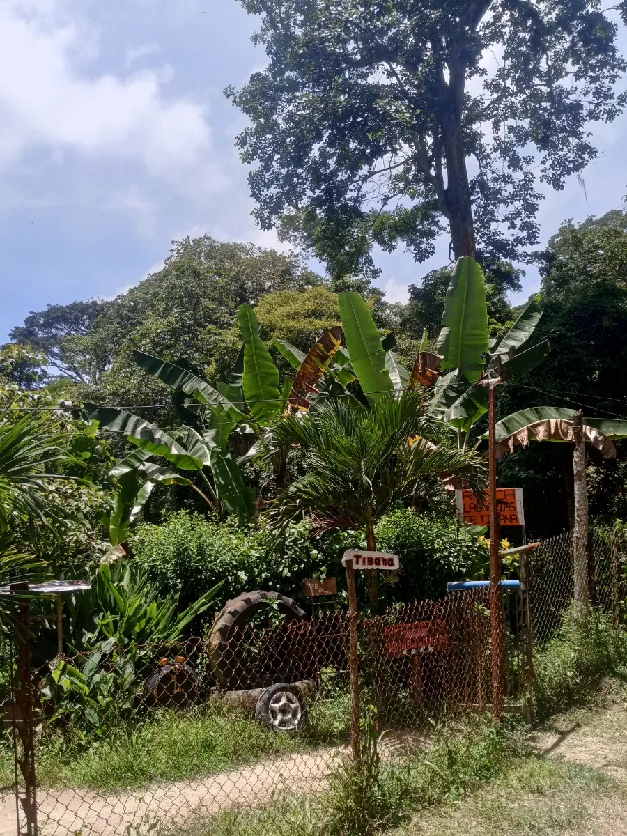 Casa para vacacional y turismo en montaña - 31