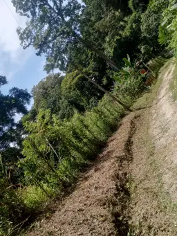 Vista 33