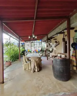 Vista 6