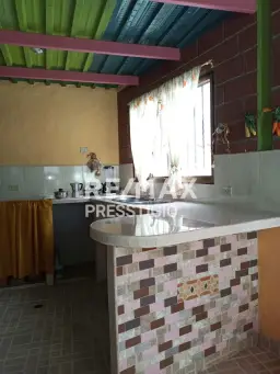 Vista 14