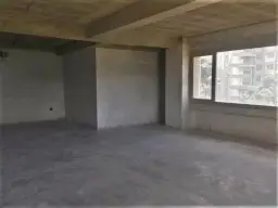 Vista 5