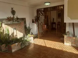 Vista 5