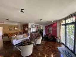 View 12